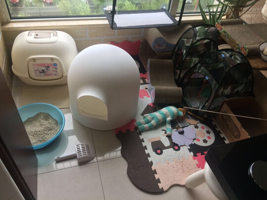 猫砂盆