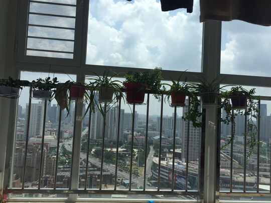 花架