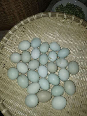 图片[4] - 农里鸿贵州长顺绿壳鸡蛋，好吃又实惠吗？ - 淘实惠