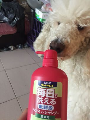宠物浴液