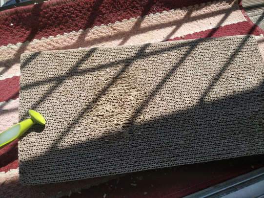 猫抓板