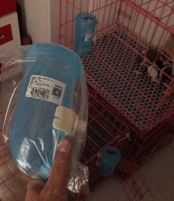 宠物饮水机
