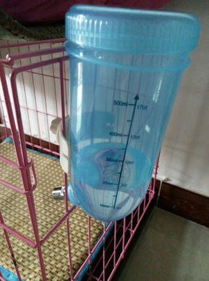 宠物饮水机