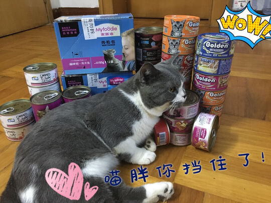 猫零食