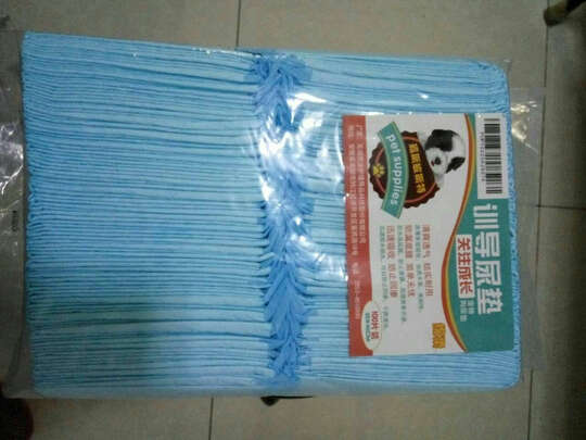 宠物纸尿裤