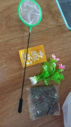 桌面鱼缸