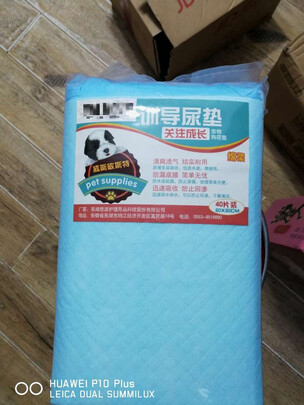 宠物纸尿裤