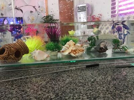 鱼缸装饰假山