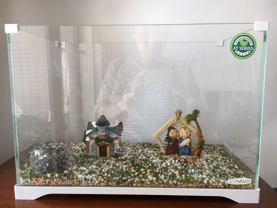 桌面鱼缸