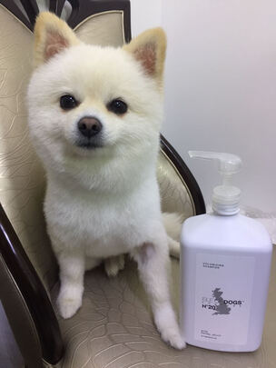 宠物浴液