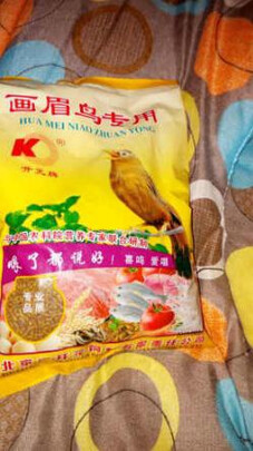 鸟粮