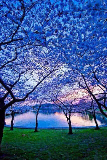 百度(baidu) 小度wifi 功能强大,信号超好的便携无线路由 (澄蓝)--不