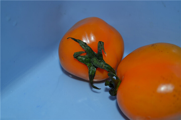 尼康(nikon) d3100 单反套机(af-s dx 18-55mm f/3.5-5.