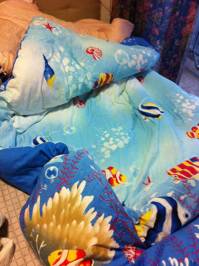 网友讨论 给自己买的单人被套 &nbsp;&nbsp