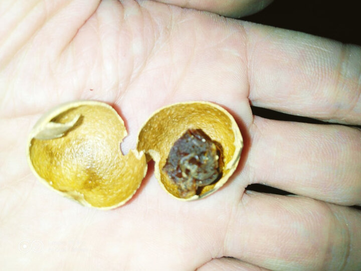 桂圆干大小均匀,没有坏果,吃起来甘甜,做汤和泡茶都很好,在拼购买的