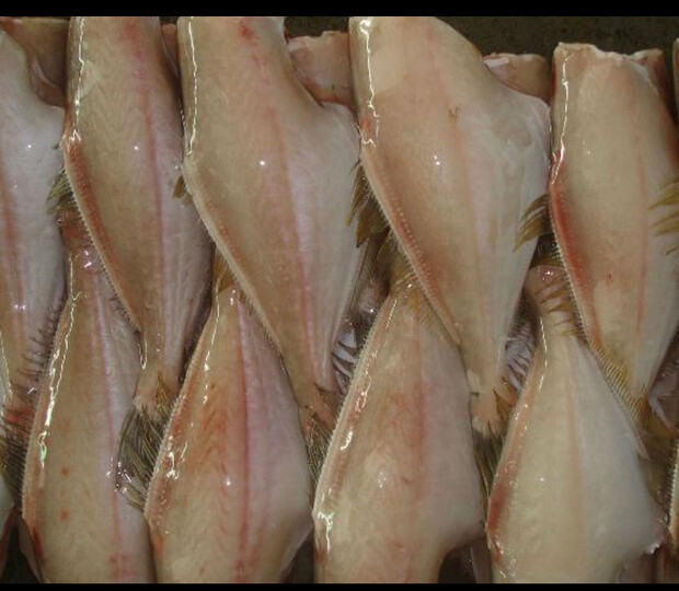 大菜园(dacaiyuan):"上次去吃重庆火锅,发现扒皮鱼很好吃,重庆叫耗儿