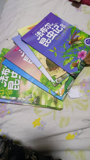 法布尔昆虫记美绘版全套10册注音拼音版 3-6-9岁儿童科普绘本读物一