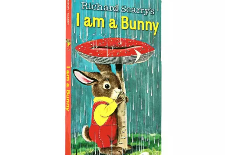 i am a bunny 我是一只兔子 英文原版绘本#此用户未填写评价内容-京东