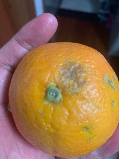 生鲜 水果 橙子 京觅澳大利亚进口脐橙  京觅澳大利亚进口脐橙 商品