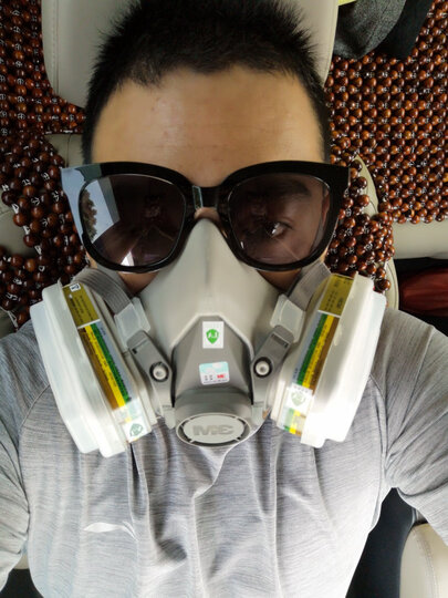 防毒面具6200 6006cn防甲醛装修kn95口罩 防氯气氯化氢 氟化氢硫化氢