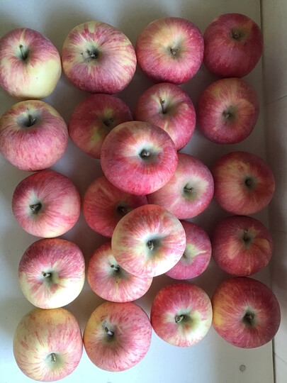 京觅富士苹果:"这款"加多果"新疆阿克苏冰糖心苹果是我们全家人的最爱