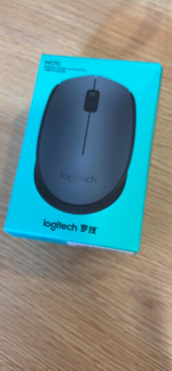 罗技(logitech)m170(m171) 鼠标 无线鼠标 办公鼠标 对称鼠标 灰色 带