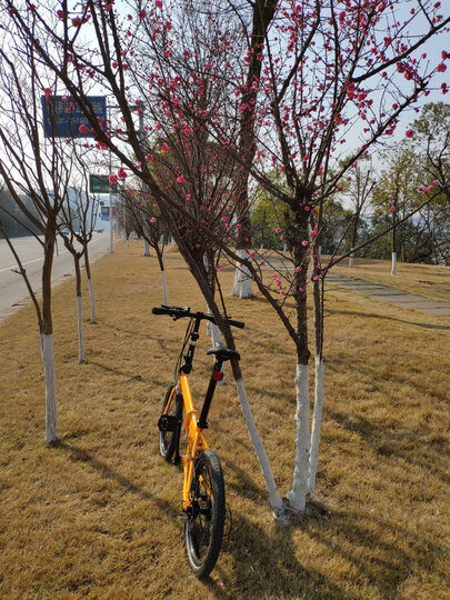 阳光明媚 骑着橙橙小.