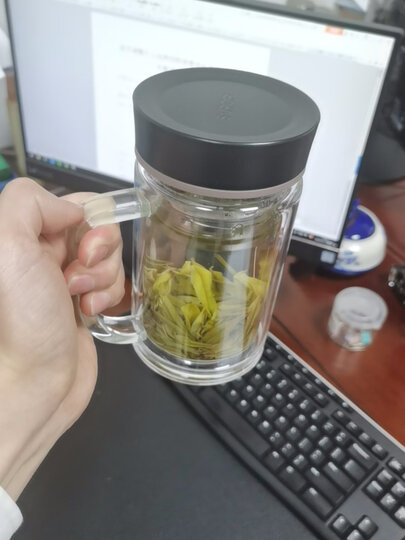 苏泊尔(supor) 双层玻璃杯带盖水杯茶杯男士女士带过滤耐热高透水晶杯