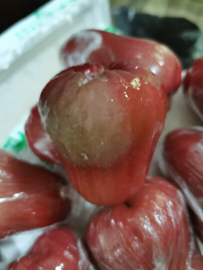 莲雾收到了,家里人很.