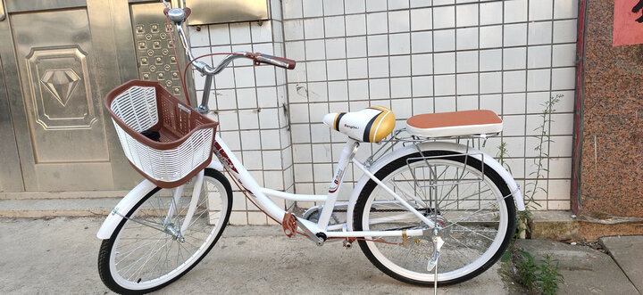 邦得利(bangdelizixingche):"给妹妹学骑车准备的,车子骑着很轻便,她