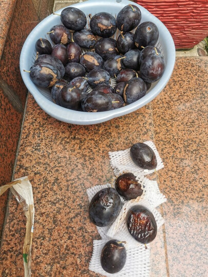 西梅都是粉的,软的,不知道是否品种问题.收到已经有5个坏果.