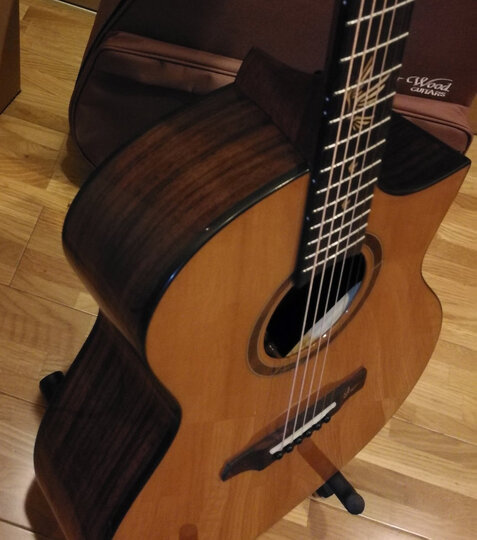 歌斐木(gopherwood)i320rc:"声音音质:新琴还没全开声,但音色已很厚实