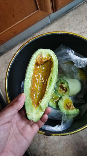 这羊角蜜太烂了,一箱瓜,没一个好的!砸京东的脸" - 京东