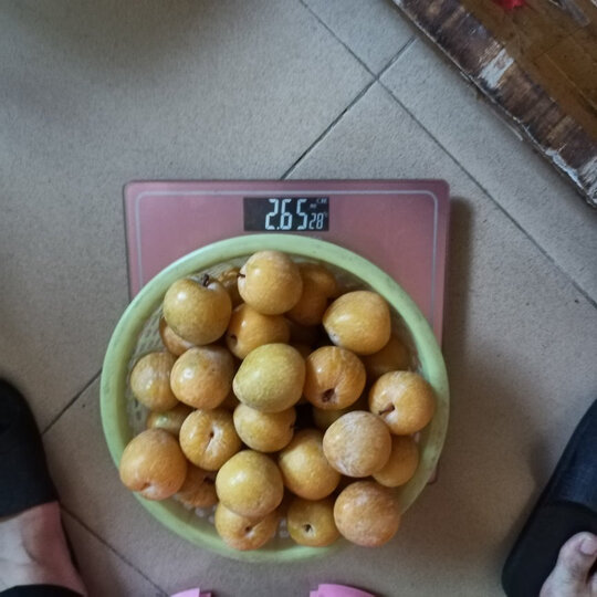 良知农哥:"水果很好,个都比较均匀,重量也没有少" - 京东