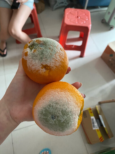 [晒单帖]橙子都烂到发霉了,果皮还厚,差评