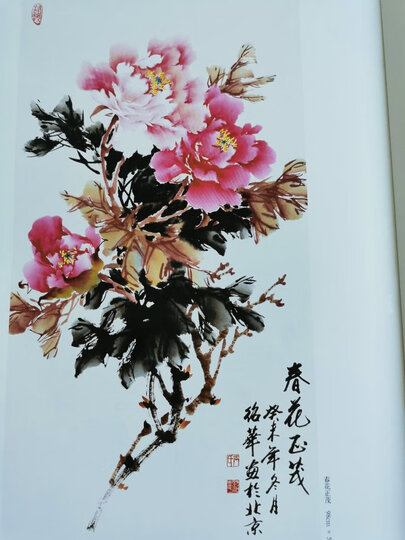 跟名家学技法:名家王绍华写意牡丹:"画很漂亮,印刷也很好,很适合临摹