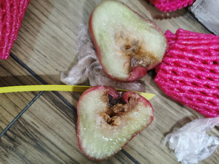 莲雾收到了,家里人很.