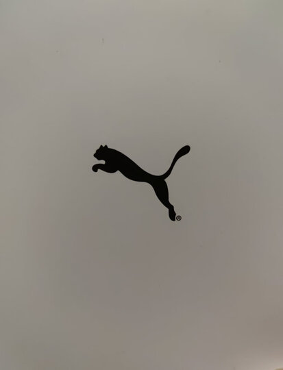 彪马(puma):"对于运动品牌的服装来说,其实安德玛耐克阿迪彪马都是我