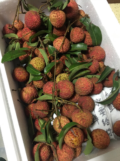 莞吉荔(guanjili):"卖家发货非常及时,包装也很严密,顺丰快递的物流