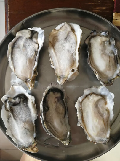 贝苑贝苑 冷冻半壳大连生蚝(牡蛎)1kg 袋装 海鲜 生鲜 烧烤食材:"生蚝