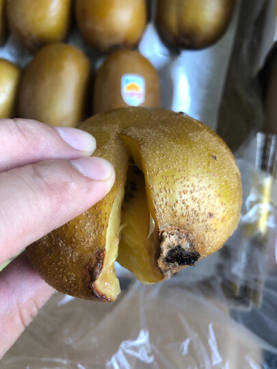 首页>生鲜>水果>奇异果/猕猴桃>佳沛佳沛新西兰阳光金奇异果36个>佳沛