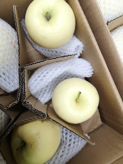 黄金帅粉面糯香苹果两