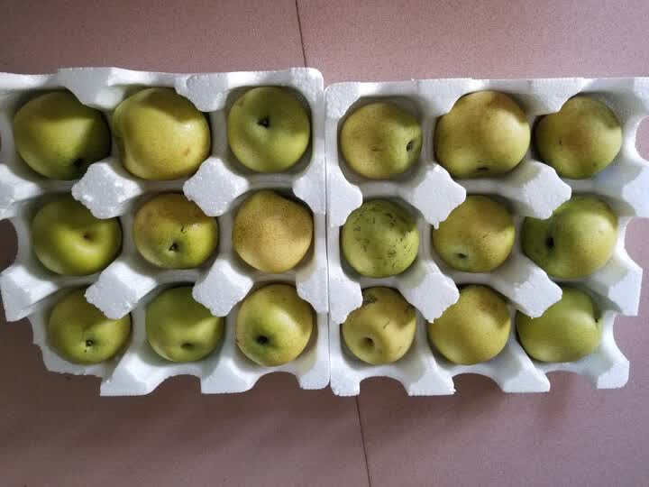 皇冠梨收到包装完好