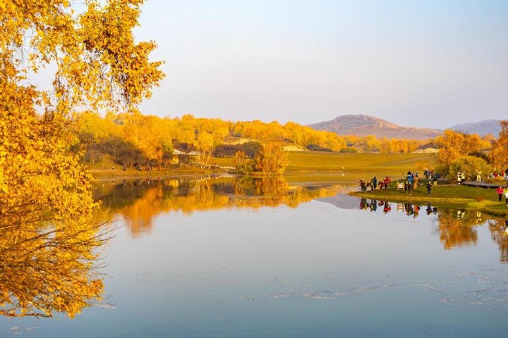 非常喜欢,特别清晰,.