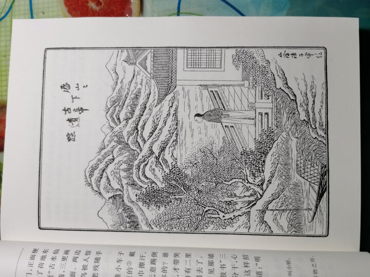 晚清四大谴责小说 老残游记(插图本) 晒单图