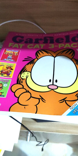 garfield fat cat13 进口故事书:"很不错的漫画书,很棒,挺有意思的.