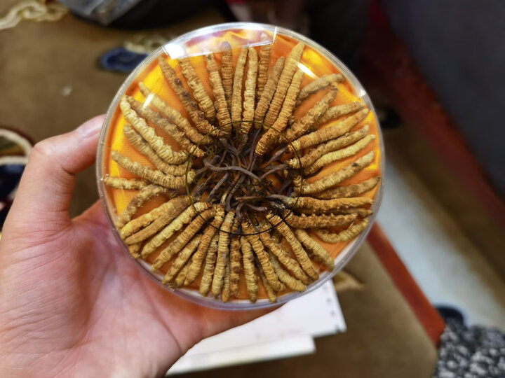 传统滋补  滋补贵细  冬虫夏草  怀慈堂(huaicitang)  怀慈堂(huaici