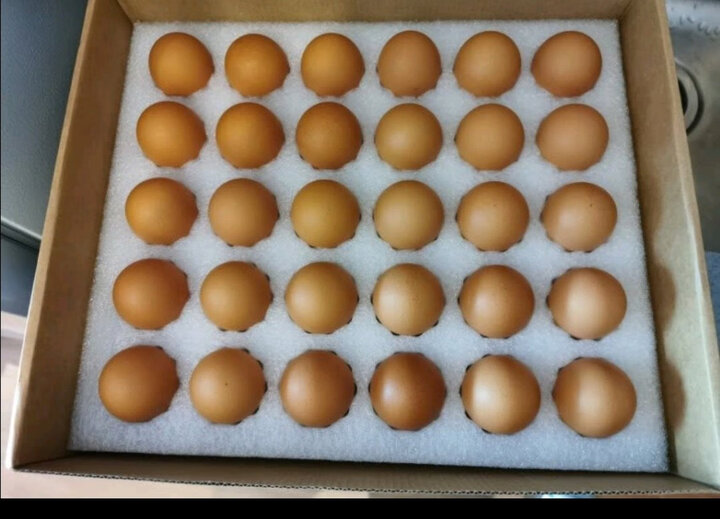 兰皇の鲜鸡蛋 20枚/30枚精选/新鲜无菌无腥可生食 溏心蛋 寿喜锅 日料