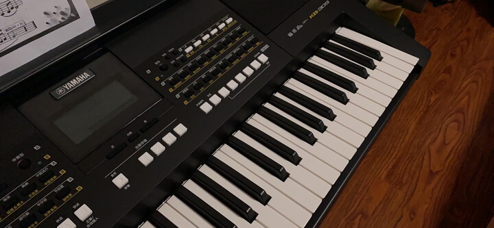 雅马哈(yamaha)kb309:"和少年宫的型号一致,儿子试用了,非常满意!