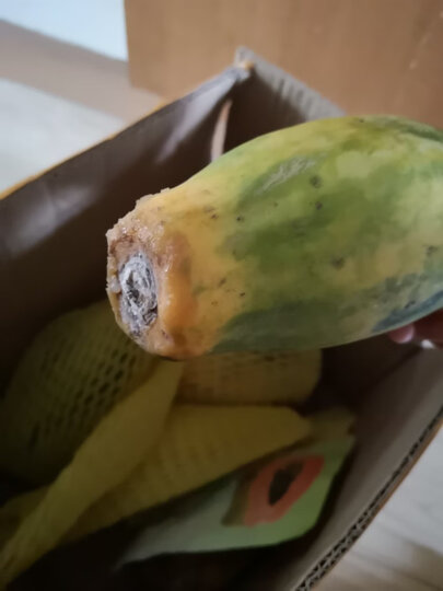 木瓜个头还行,不过木.